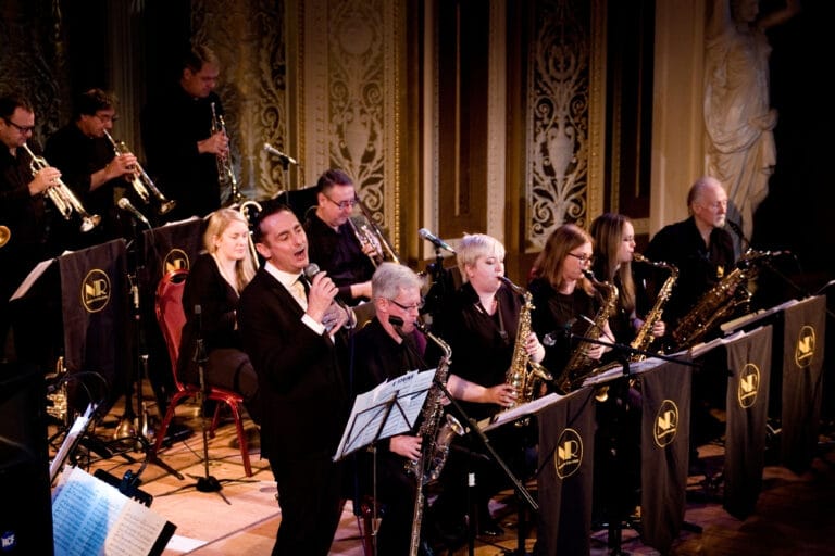 Andy Swing Singer Live